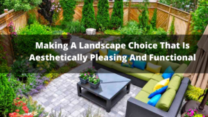 Making A Landscape Choice That Is Aesthetically Pleasing And Functional