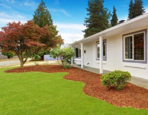 Cost of Landscaping in San Antonio