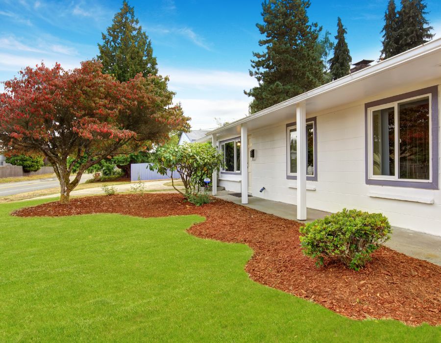 Cost of Landscaping in San Antonio